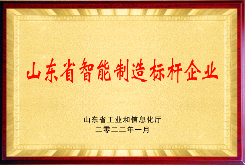 山東（dōng）省智能製造標杆企業